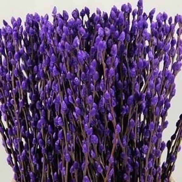 GATELL TENYIT MILKA 70CM