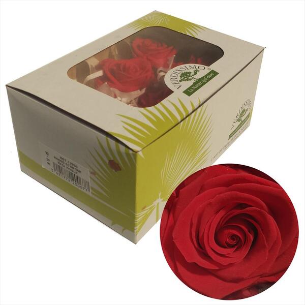 ROSA PRES. PREMIUM CAIXA X6 RED