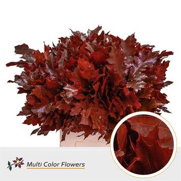 Majorista de plantes per a floristeries, centres de jardineria, esdeveniments i empreses